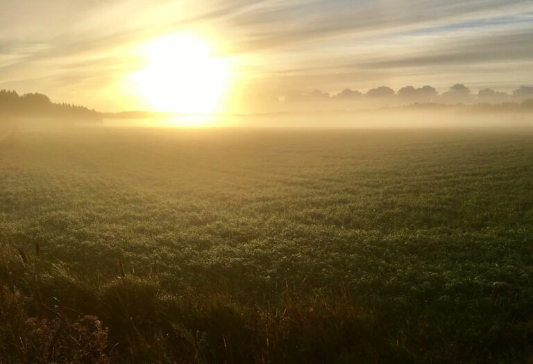 Kuva: Nina Alivirta, Pilgrim Oy.